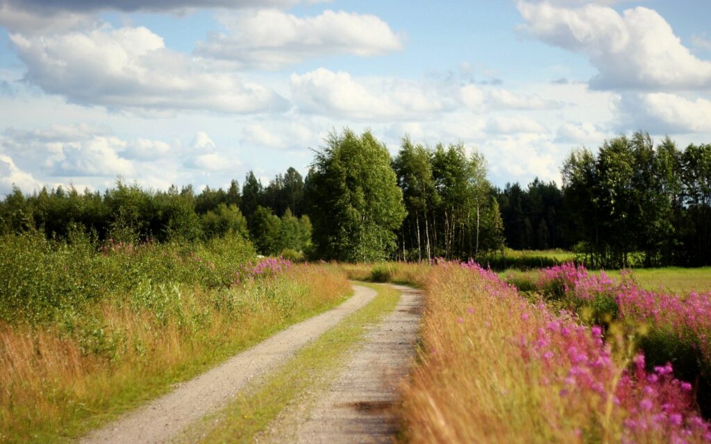 Serene country road through green fields wildflowers tall grass leafy trees blue sky clouds Wallpaper