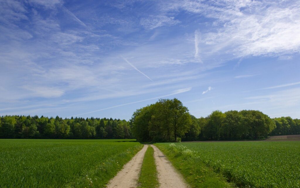 Serene countryside dirt road winding through green fields and trees under a vibrant blue sky Wallpaper
