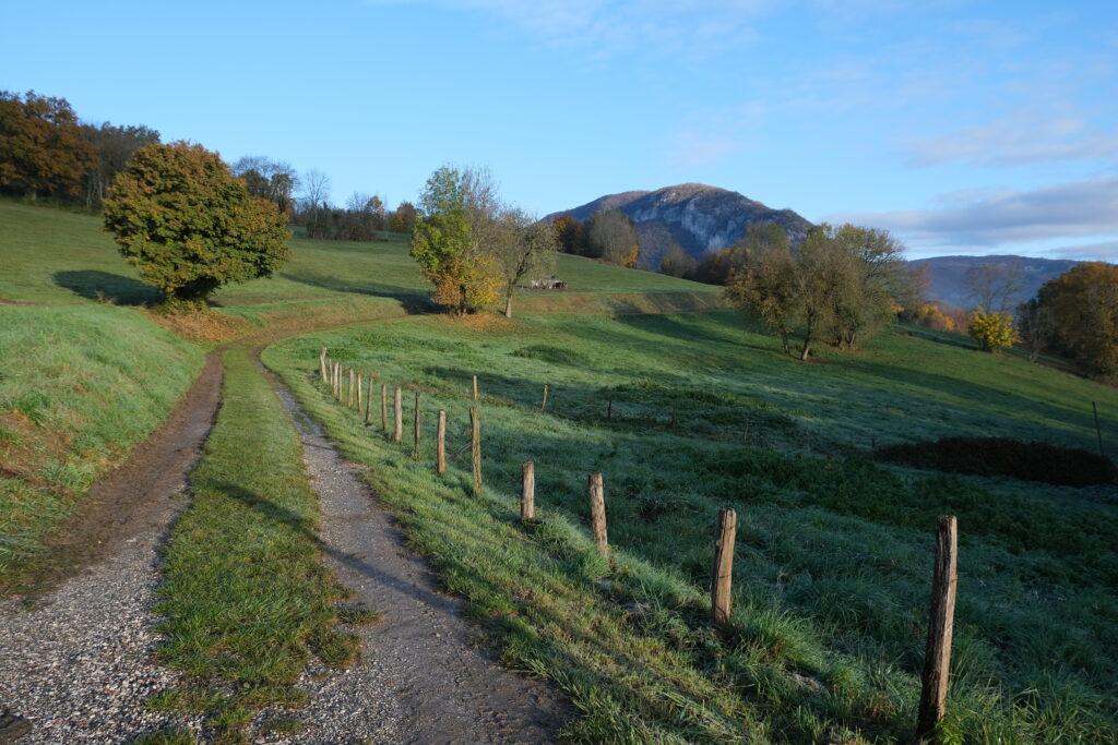 Winding path with wooden fence through green field and trees under clear blue sky countryside wallpaper