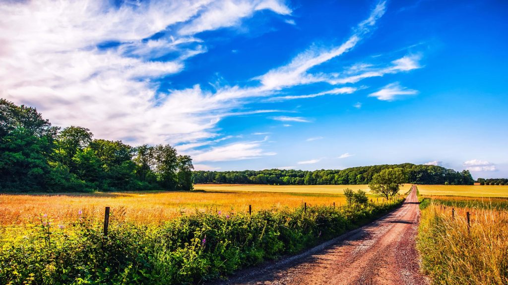 Serene summer countryside landscape with dirt path golden fields green woodlands bright sky Wallpaper