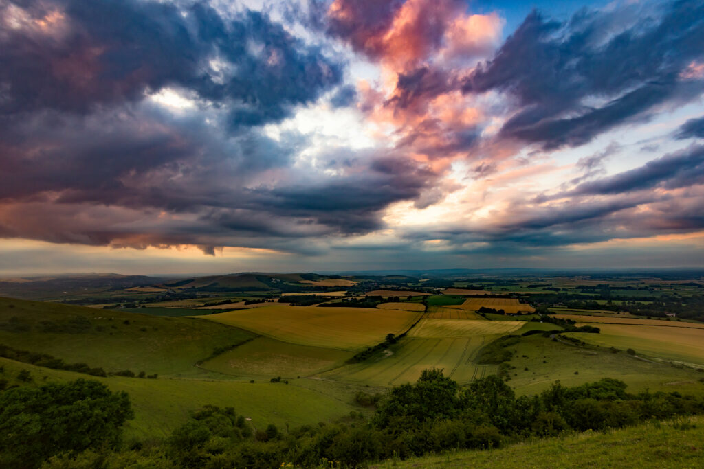 Serene countryside wallpaper with rolling green fields golden grass trees and dramatic sunset sky