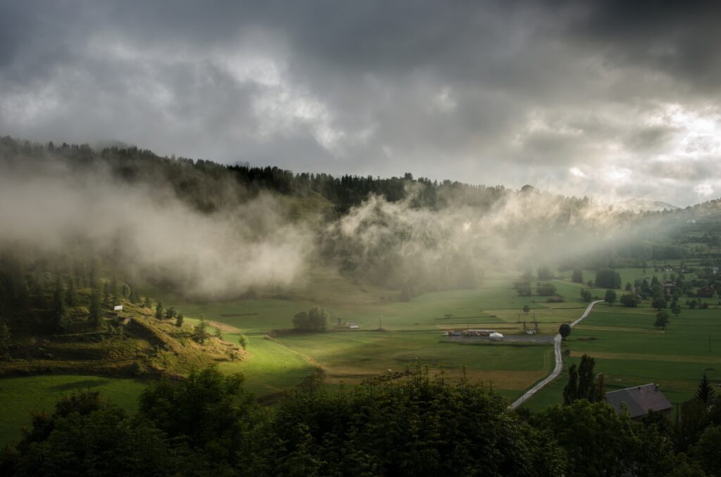 Serene countryside wallpaper with rolling green hills dense forest low clouds and soft sunlight