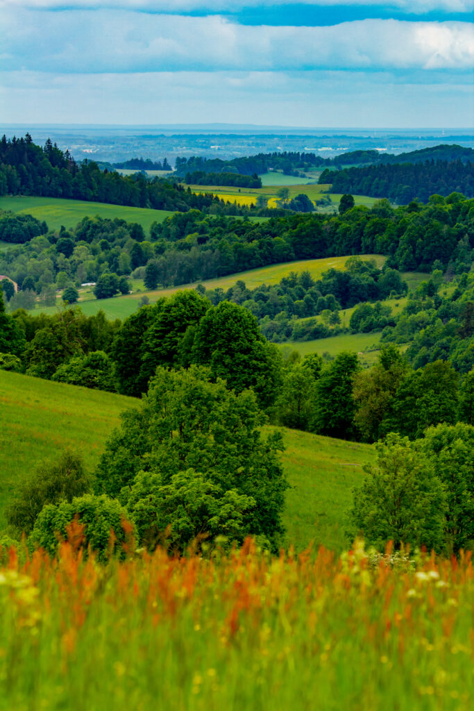 Lush green rolling fields with scattered trees under a dramatic cloudy sky countryside wallpaper