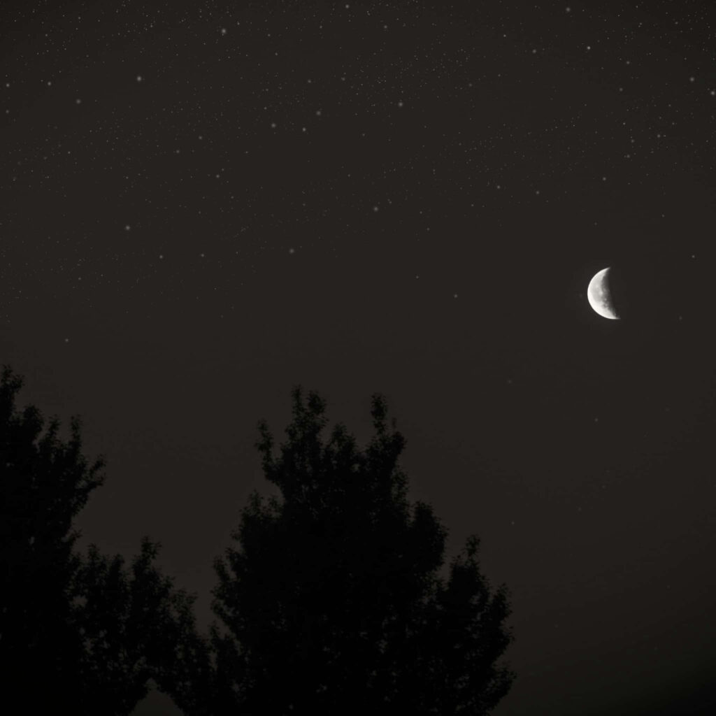 Tranquil Crescent Moon Wallpaper: Starry Sky & Silhouetted Trees