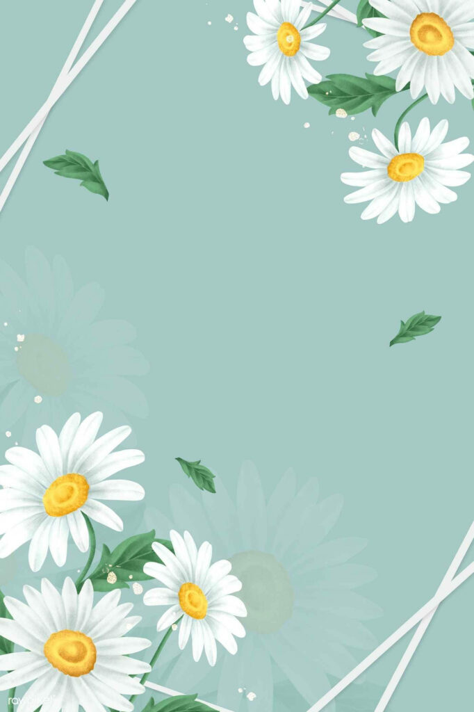 Serene Floral Wallpaper: White Daisies on Pastel Green Background