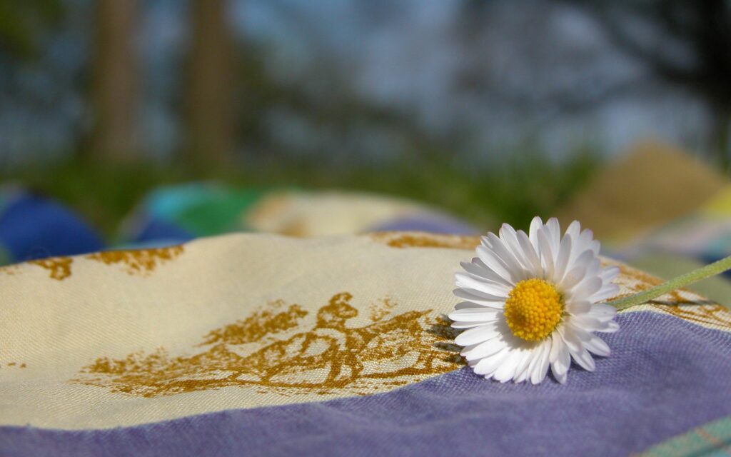 Close-Up Daisy on Textured Fabric: Serene Floral Wallpaper