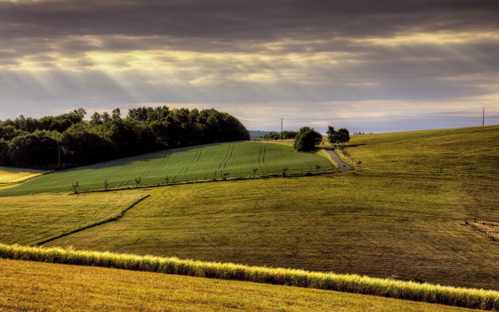 Daytime rolling hills with green and golden fields under dramatic sky and winding sunlit road Wallpaper
