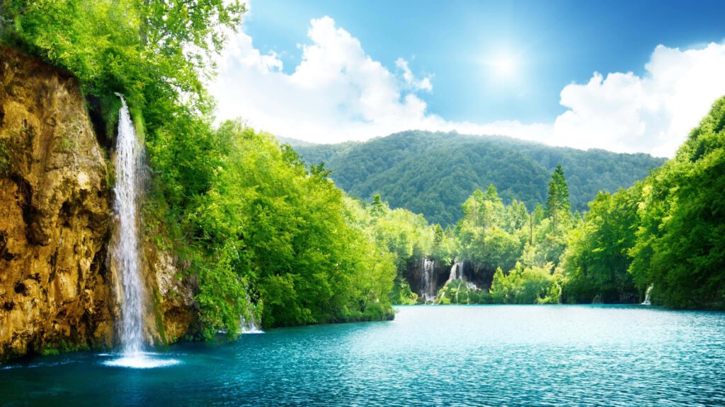 Serene Deep Forest Wallpaper: Hidden Waterfall & Clear Lake