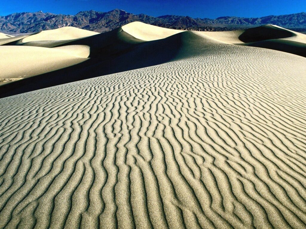 Desert landscape wallpaper with sunlit dunes intricate sand patterns beige gold hues and blue sky