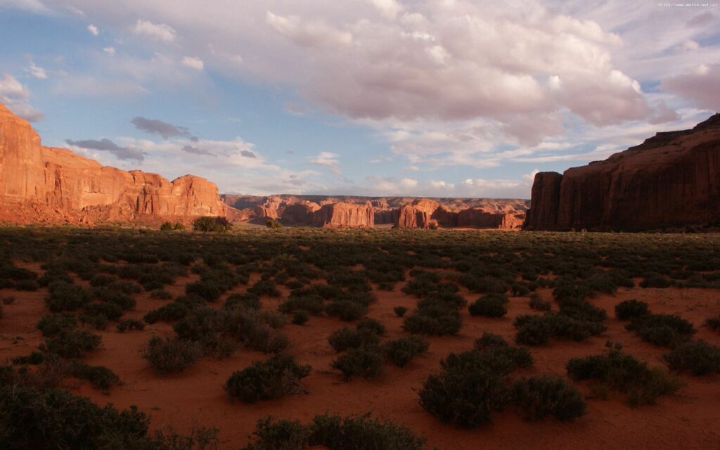 Vast desert landscape with sandstone cliffs low bushes and evening light under cloudy sky wallpaper