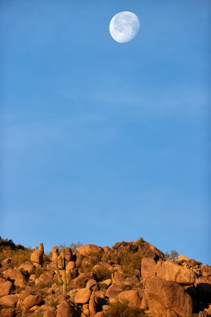 Serene desert landscape with rugged rocks bushes bright moon and clear blue sky wallpaper background
