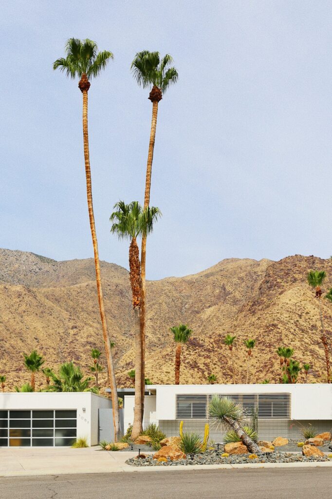 Tall palm trees next to white modern building with desert hills and rocky mountains background Wallpaper