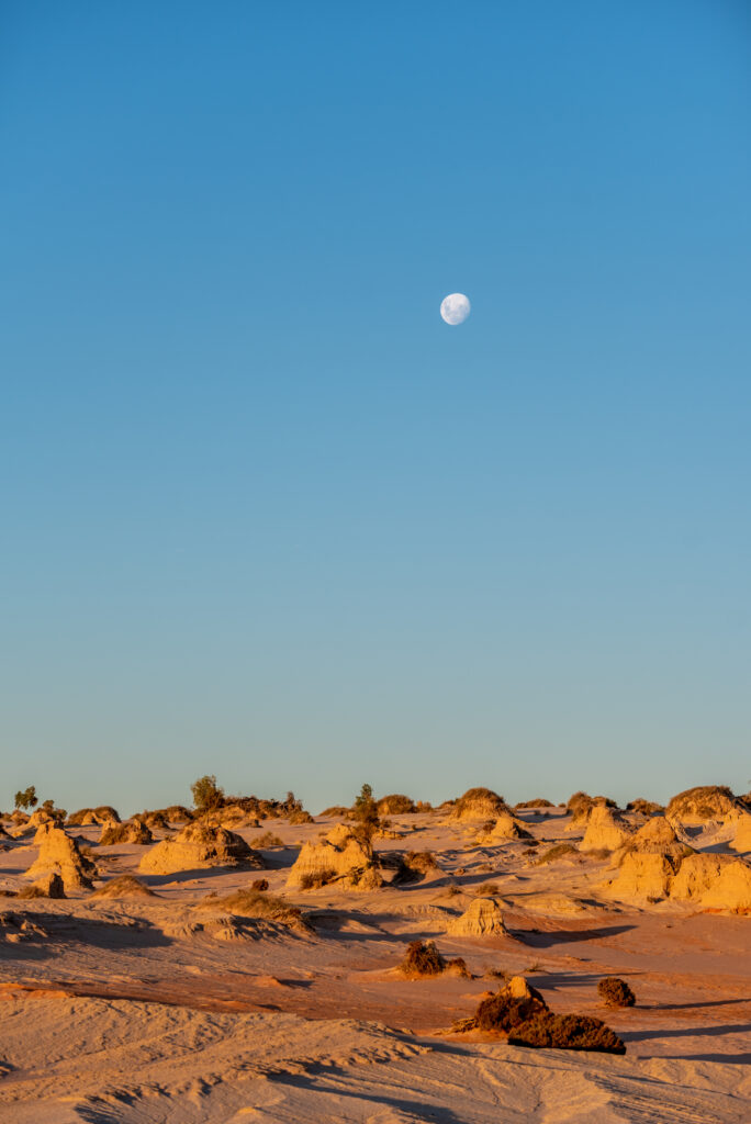 Serene desert landscape with golden sand rock formations sparse vegetation and rising moon Wallpaper