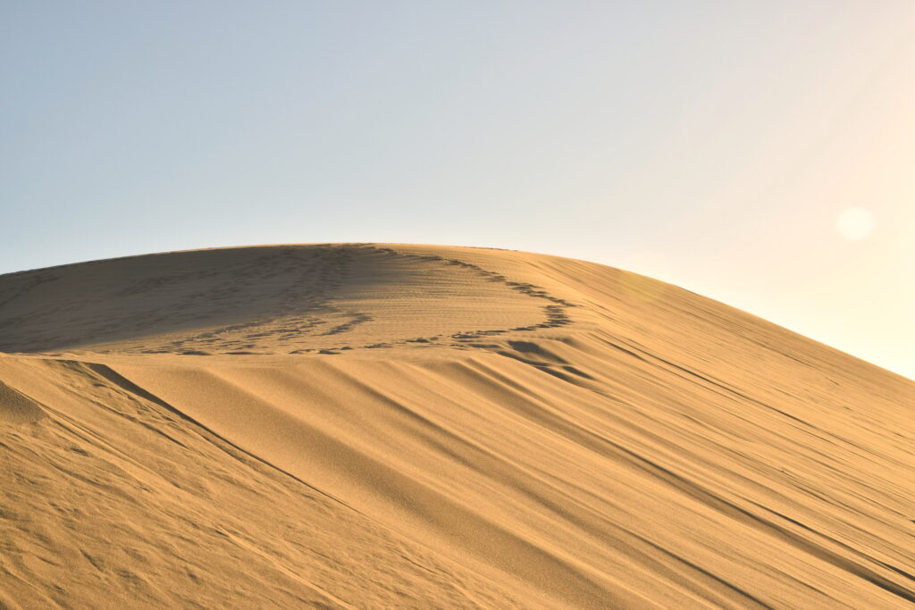 Serene desert wallpaper with golden sand dunes illuminated by warm sunlight and clear sky