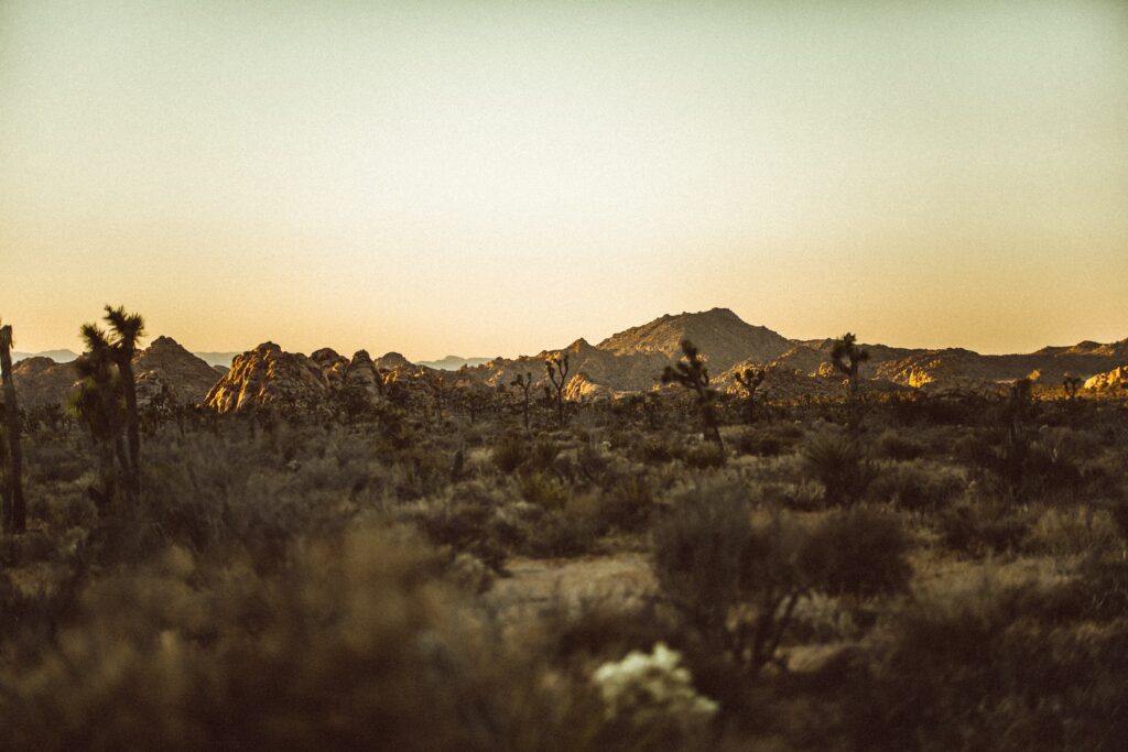 Sunset over serene desert valley with rugged hills and sparse prairie vegetation wallpaper background