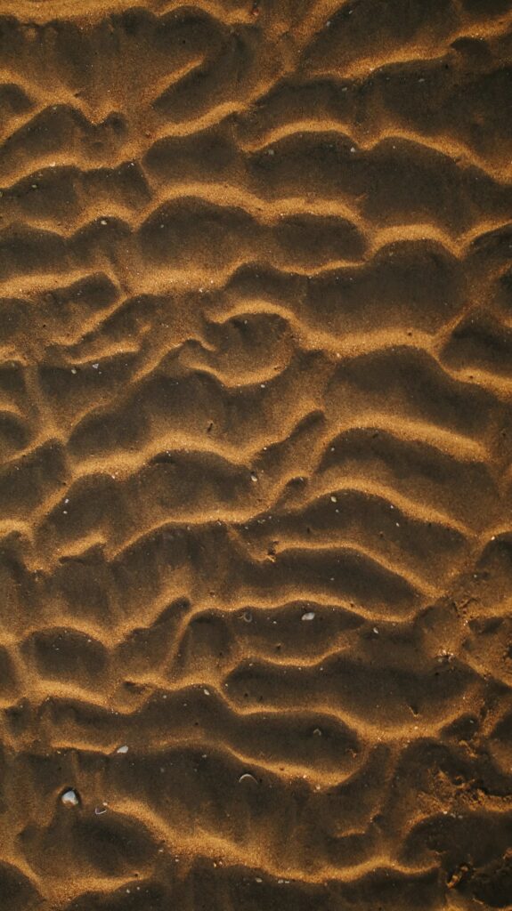Serene Desert Wallpaper: Wavy Patterns & Shells for a Calm Aesthetic