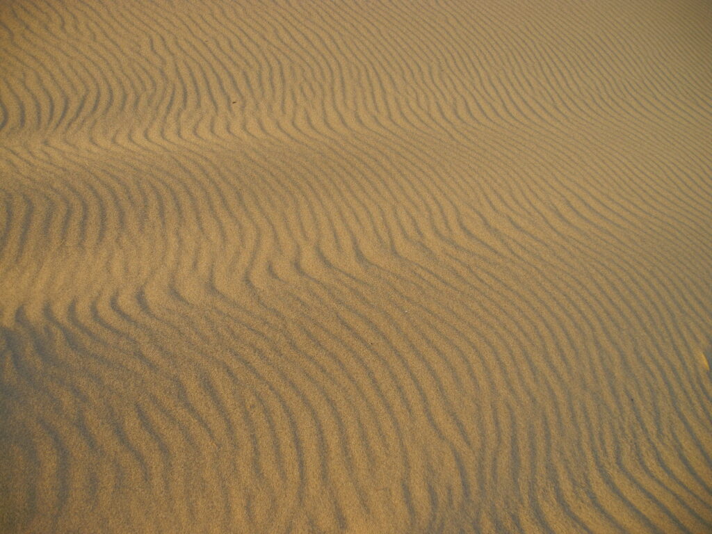 Serene desert wallpaper with golden sand dunes and natural wind patterns in warm hues