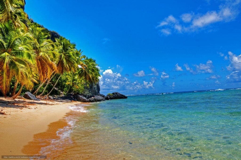 Serene Dominican Republic Beach Wallpaper: Golden Sand & Turquoise Waters
