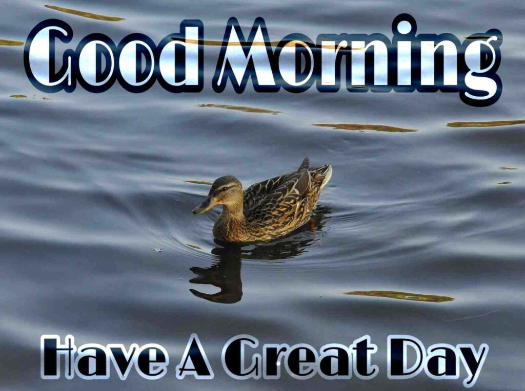Serene Duck Wallpaper with Cheerful 'Good Morning' Message