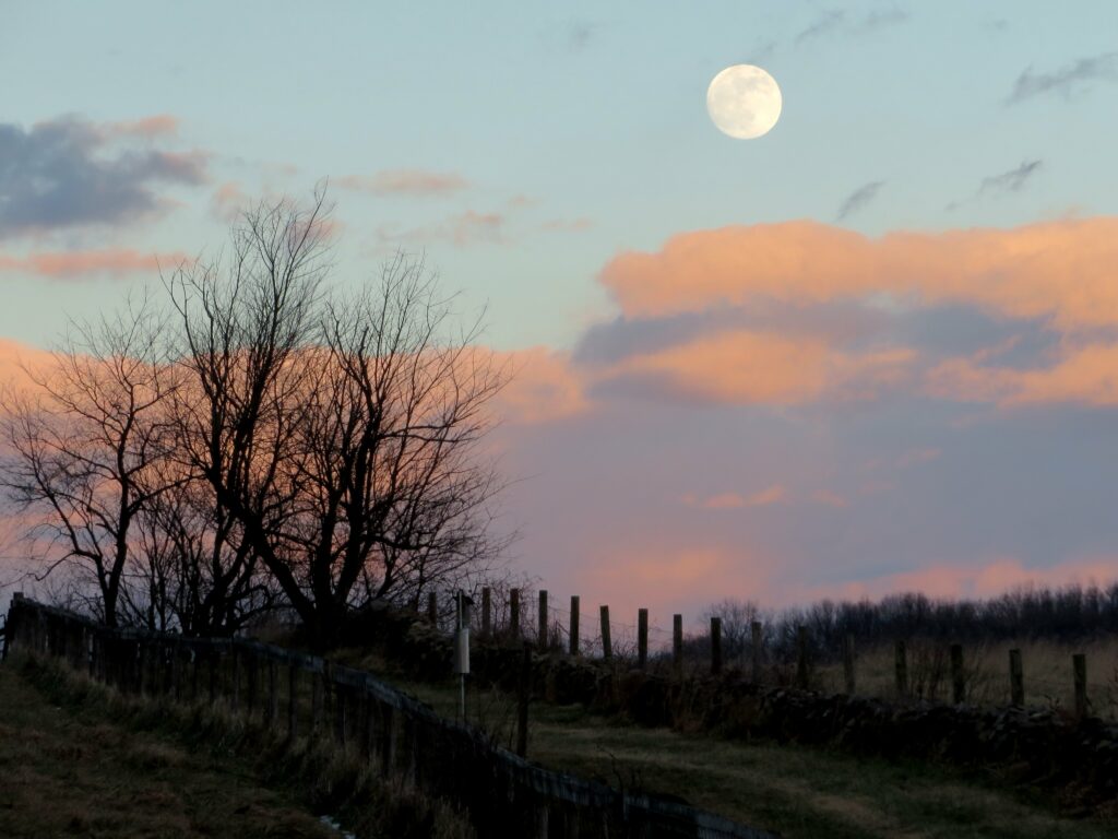 Serene dusk wallpaper with glowing full moon pastel clouds rustic fence and silhouetted trees
