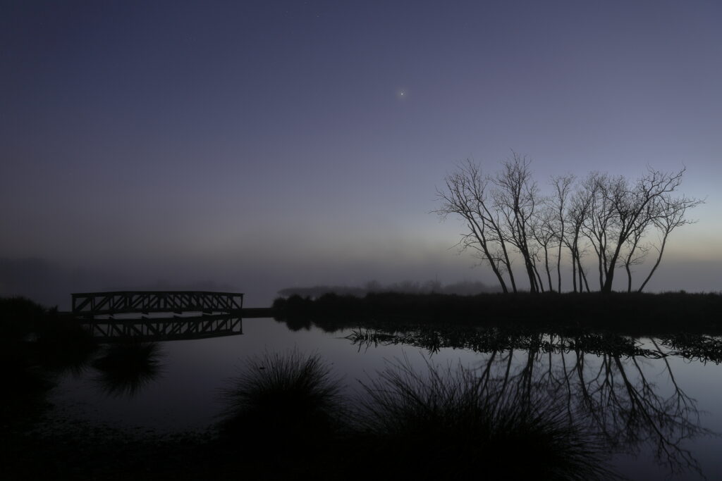 Serene dusk wallpaper with bare trees reflected in calm water and wooden bridge silhouette