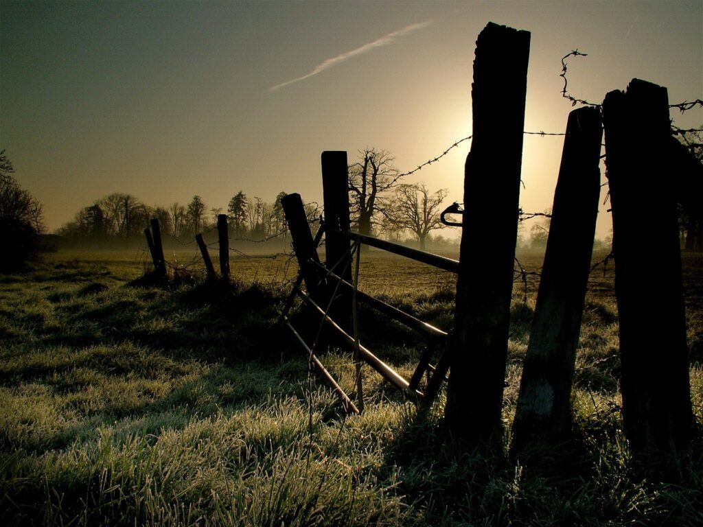 Early morning frosted field with rustic wooden fence posts bathed in soft golden sunlight Wallpaper
