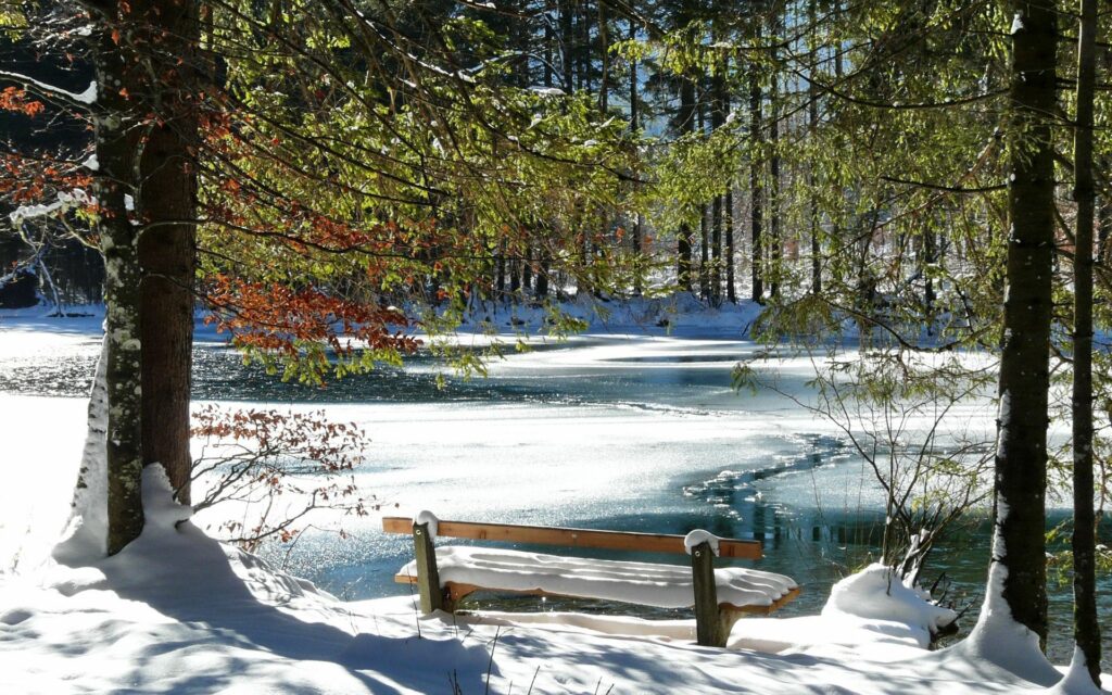 Wooden bench under tall trees by thawing lake with melting ice and early spring snow shadows Wallpaper