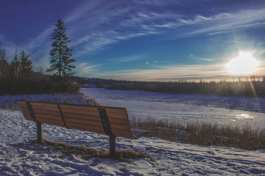 Solitude in Edmonton: A Captivating Landscape Photography of an Empty Bench in Canada - Perfect as a Wallpaper