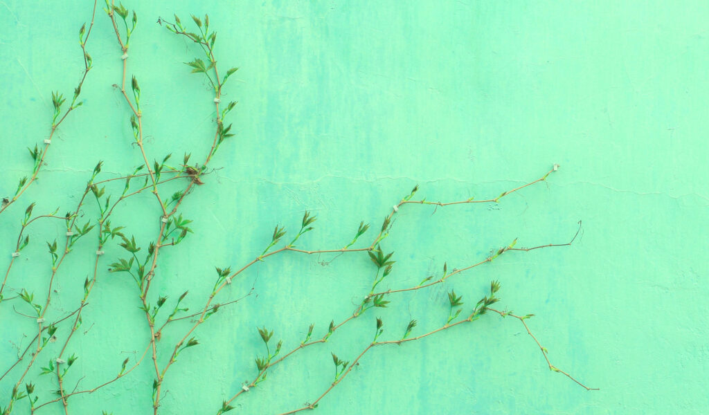 Enchanting Mint Green Haven: Vibrant Wall with Delicate Vine Overlay Wallpaper