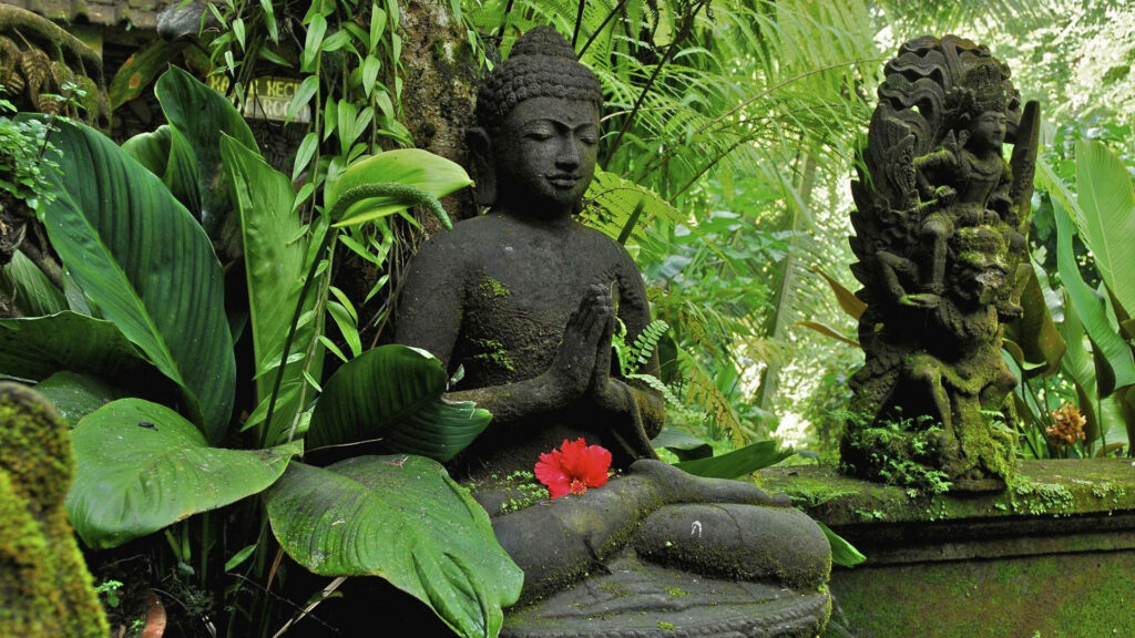 Buddha's Serene Presence Amidst Lush Greenery: A Captivating HD Background Wallpaper