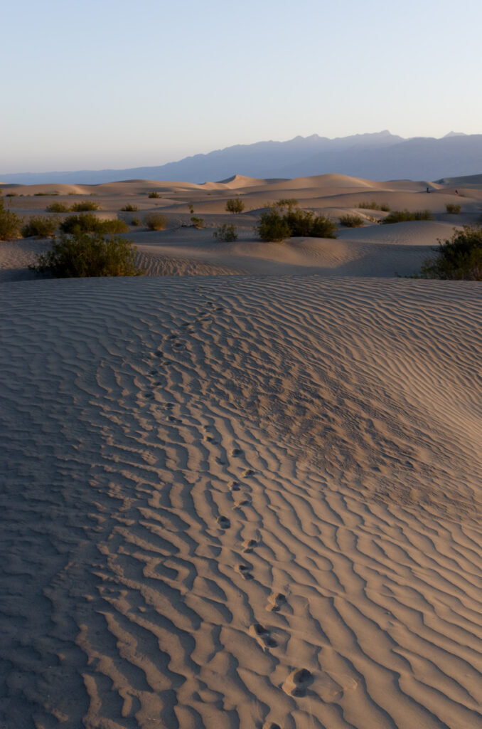 Serene desert landscape with rippled sand dunes sparse shrubs and distant hazy mountains at dusk Wallpaper