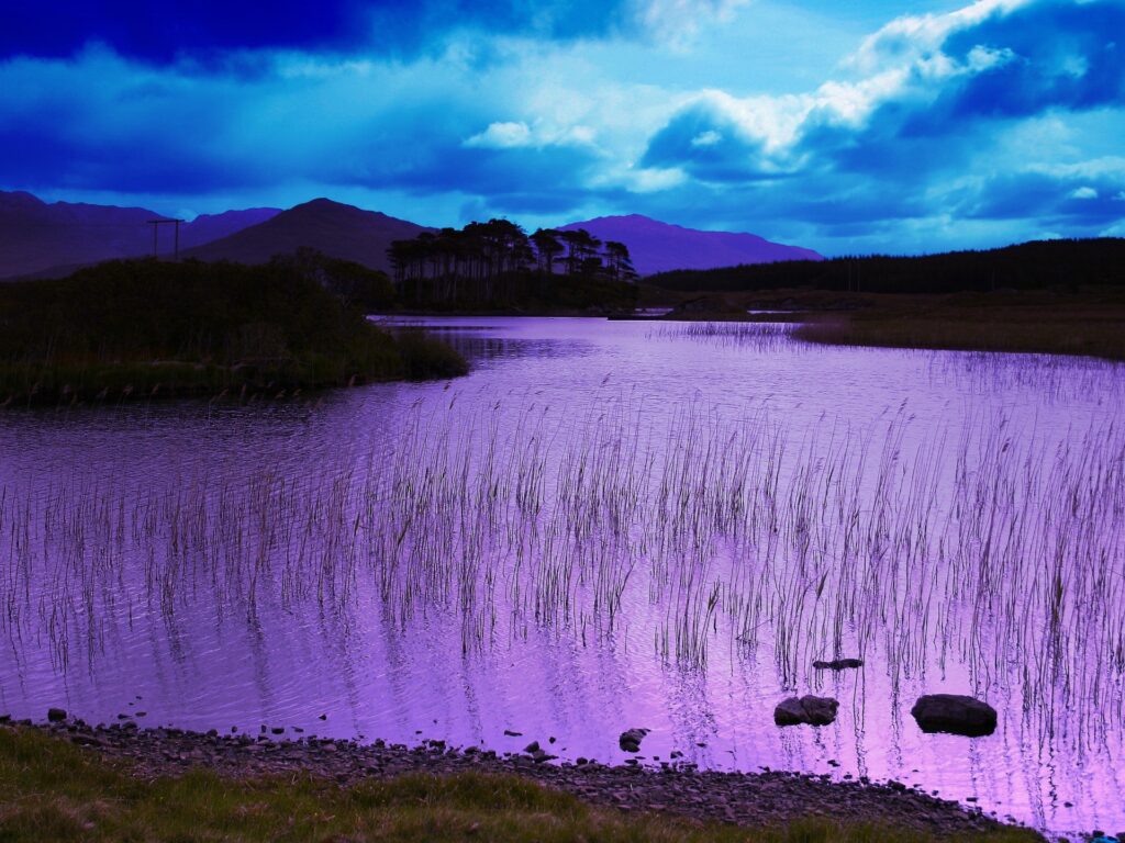 Serene evening lake with purple blue sky mountains grass reeds peaceful natural landscape wallpaper