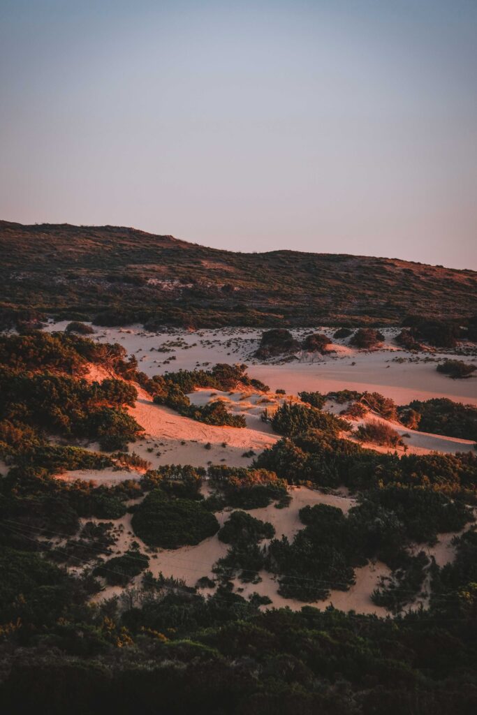 Serene evening landscape with rolling hills sandy reliefs and green bushes in warm sunset glow Wallpaper