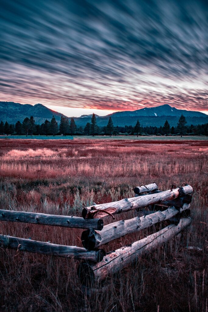 Evening mountain landscape with tall trees golden grass and rustic wooden fence under dramatic sky Wallpaper