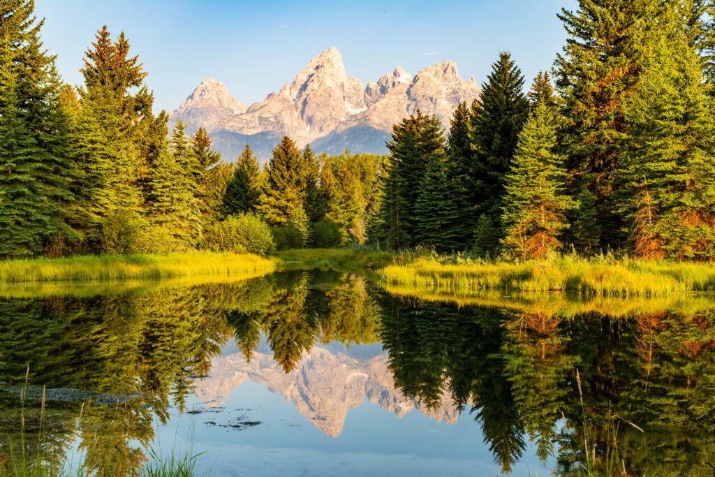 Serene landscape with evergreen trees and tranquil pond reflecting mountains in warm sunlight Wallpaper