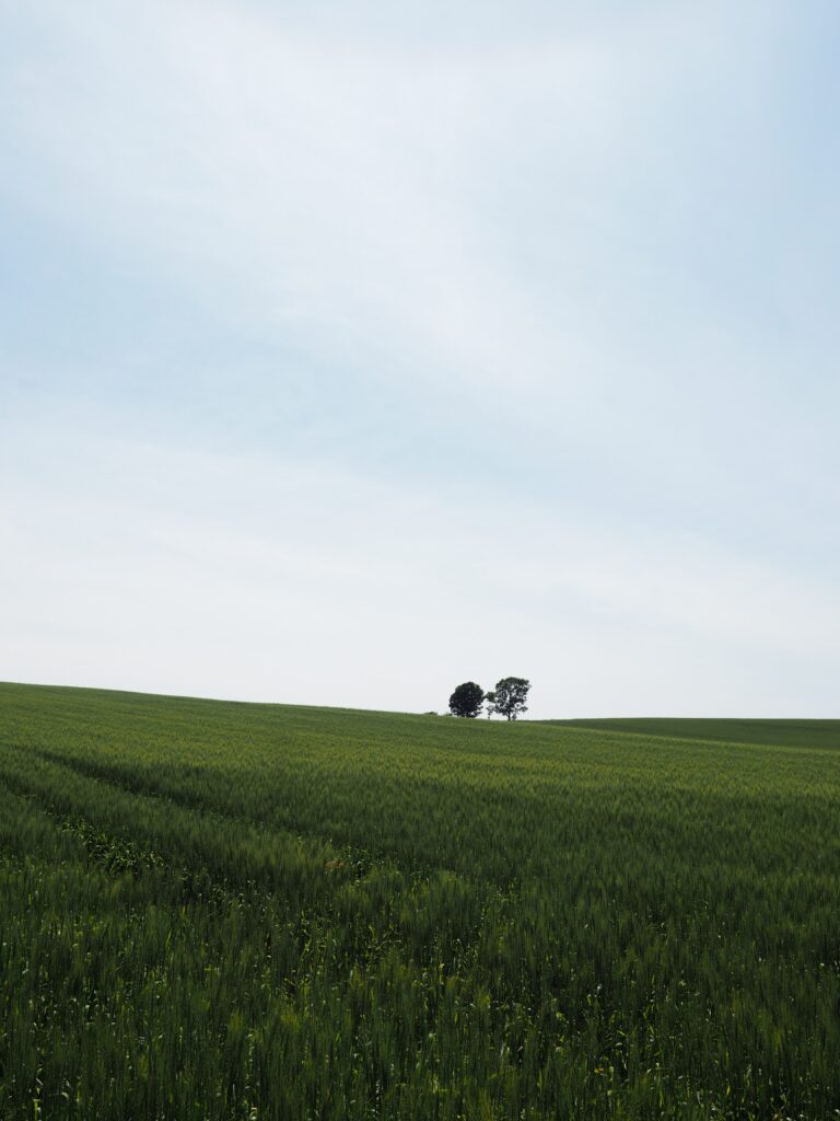 Serene green field with distant trees under pale blue sky minimalist nature wallpaper background