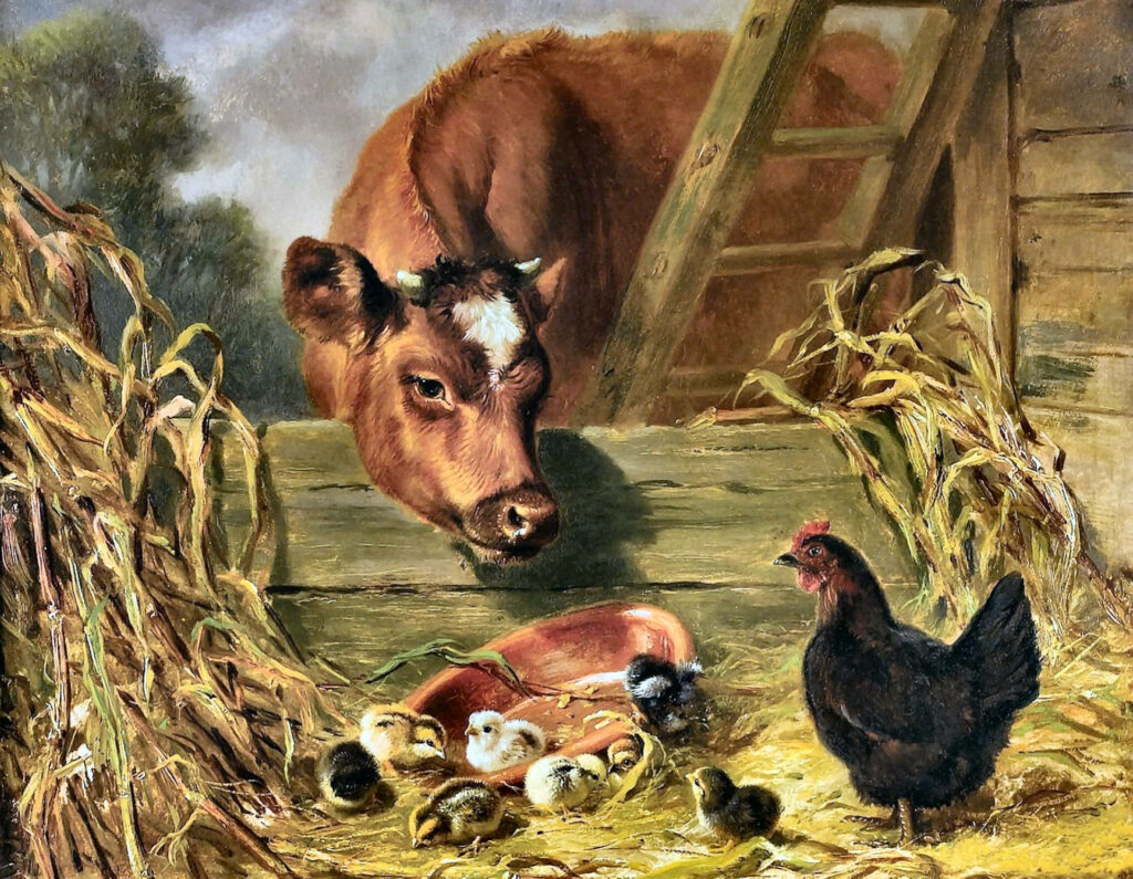 Serene Farm Wallpaper: Cow, Hen, and Chicks in Rustic Charm