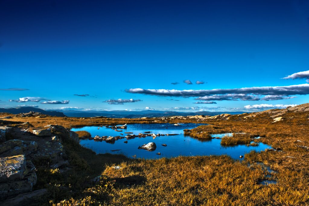 Serene field with golden grass blue sky and reflective puddle scenic nature wallpaper background