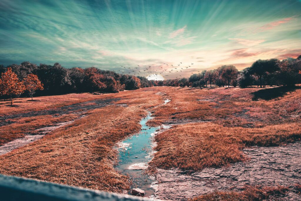 Serene field with tall trees vibrant sky sunlight rays birds stream flowing through golden grass wallpaper background