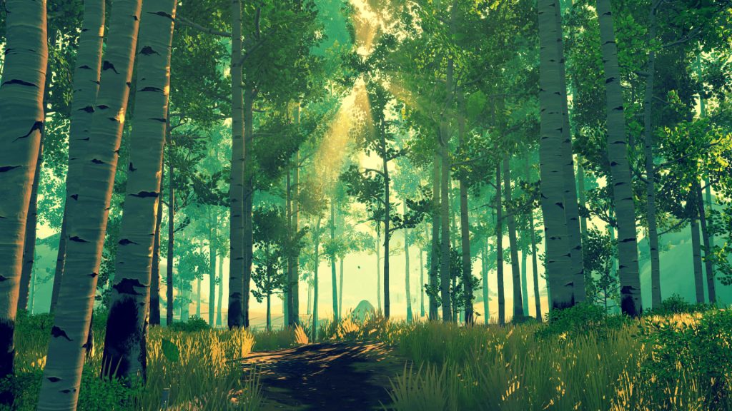 Serene Firewatch wallpaper with tall white-barked trees and warm sunlight filtering through forest canopy