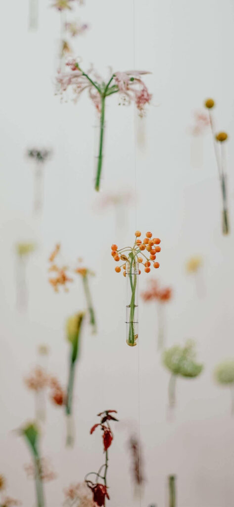 Delicate Floral Wallpaper for a Serene Spring Aesthetic