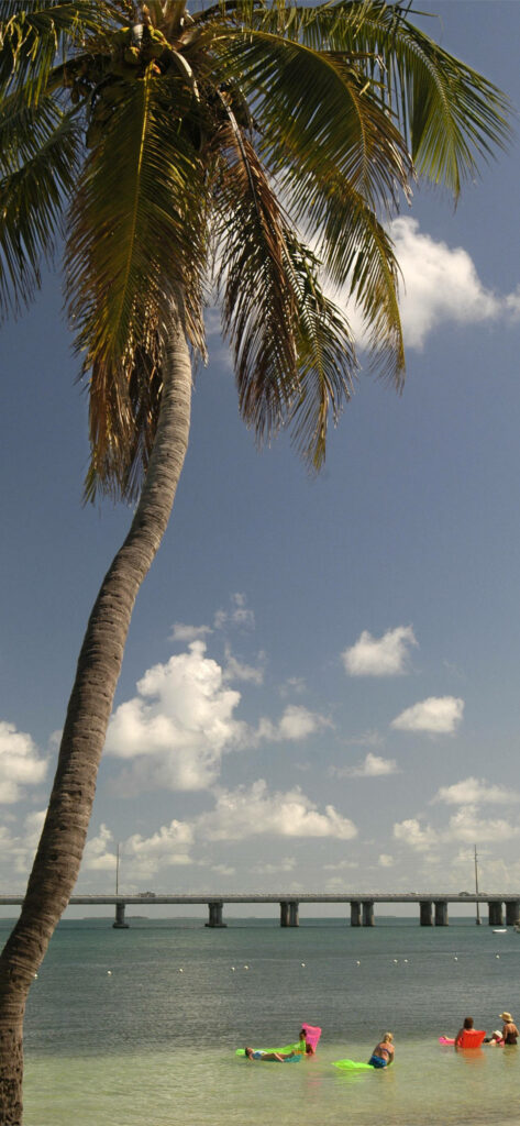 Tranquil Florida Beach Wallpaper with Palm Trees & Sunbathers
