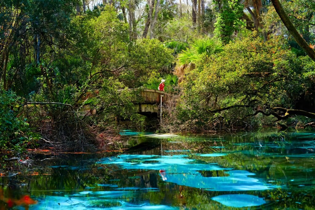 Serene Florida Springs with crystal clear turquoise water lush greenery and wooden bridge background Wallpaper