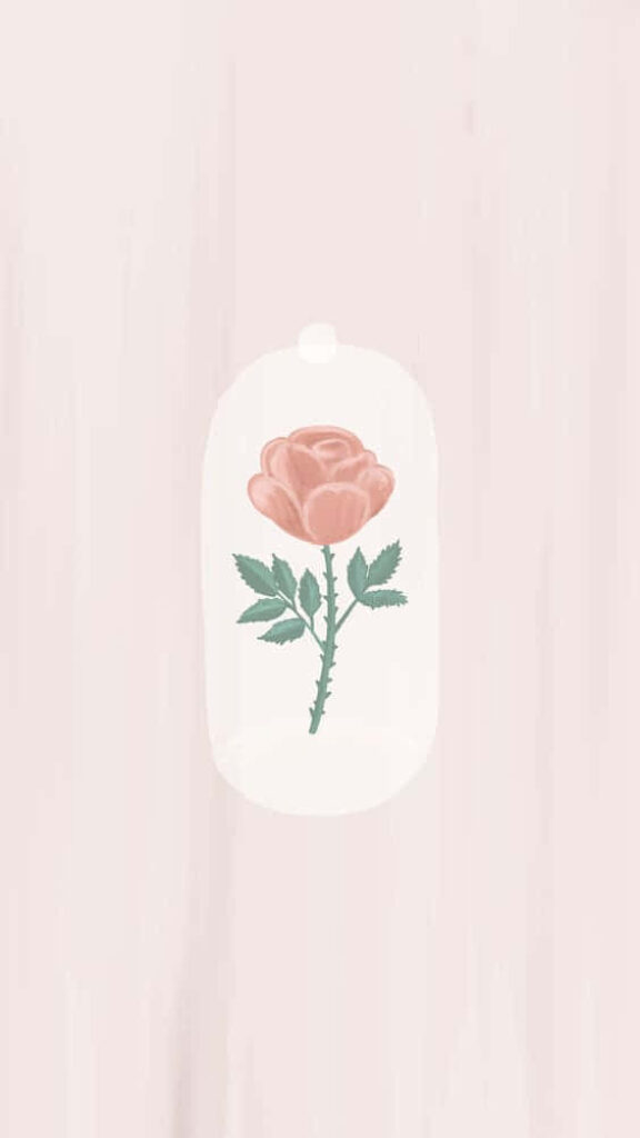 Serene Minimalist Flower Wallpaper Bathed in Morning Sunlight