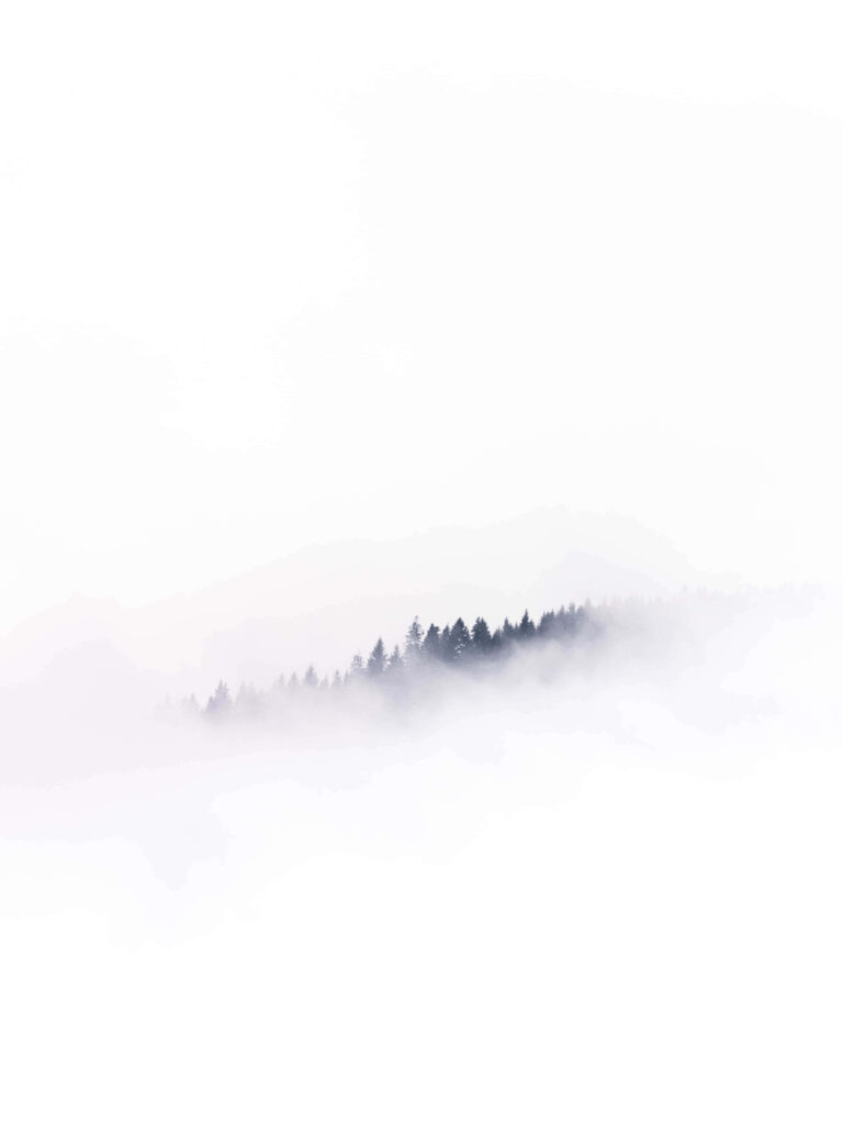 Serene Fog-Covered Forest: Sleek Minimalist iPhone Wallpaper Background