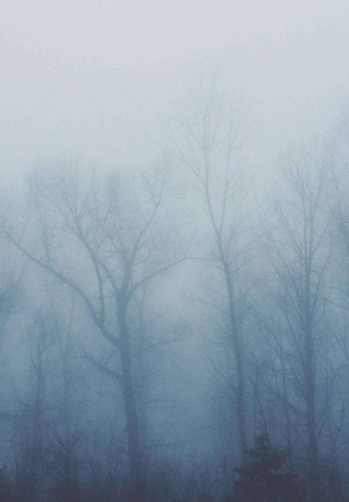 Foggy forest with bare trees fading into blue mist serene moody minimalist tablet wallpaper background