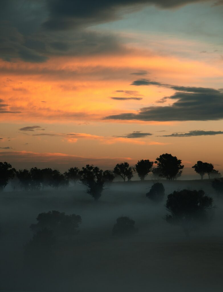 Serene foggy landscape with silhouetted trees sunset sky warm orange and blue hues wallpaper background