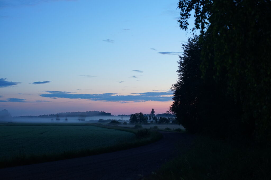 Peaceful countryside field at sunrise with fog pastel sky winding path and silhouetted trees wallpaper