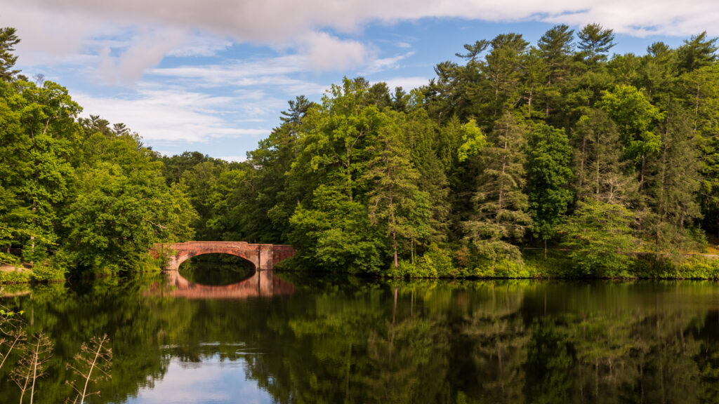 Serene forest with brick bridge over calm water reflecting lush green trees under blue sky Wallpaper