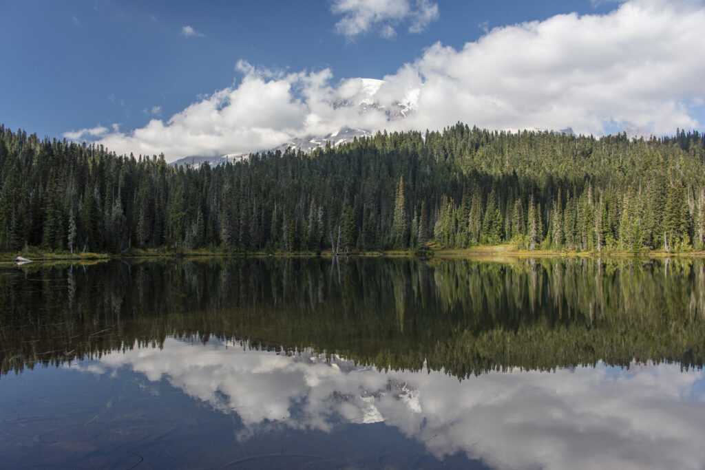 Serene lake with evergreen trees reflection under fluffy clouds in a peaceful forest landscape Wallpaper